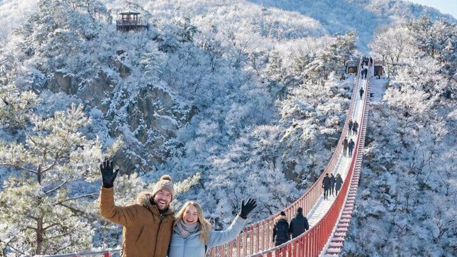 From Seoul: Defector Talk & DMZ Highlights – A Rare Human Story