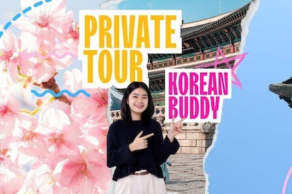 Seoul Private 4 Hour Tour with A Korean Buddy