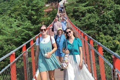 DMZ之旅 + 北韓消防員: 邊界以外的真實故事