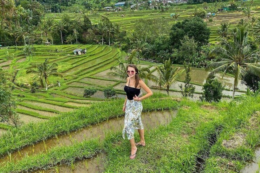 Jatiluwih Rice Terrace