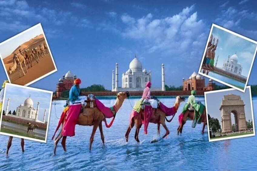 India's Best Seller-Taj Mahal and Agra Fort Tour From Delhi