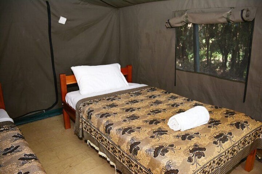 4 days group joining budget safari to Maasai Mara only