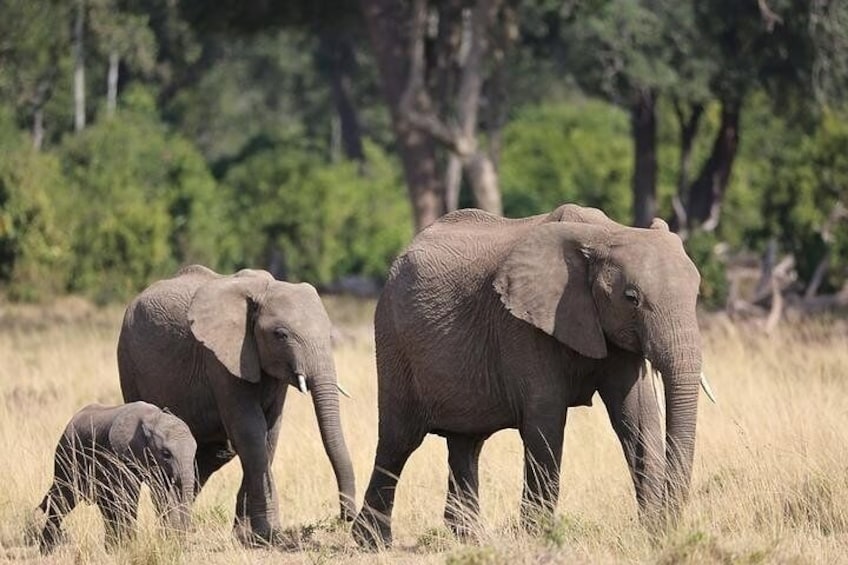 A mother and her kids