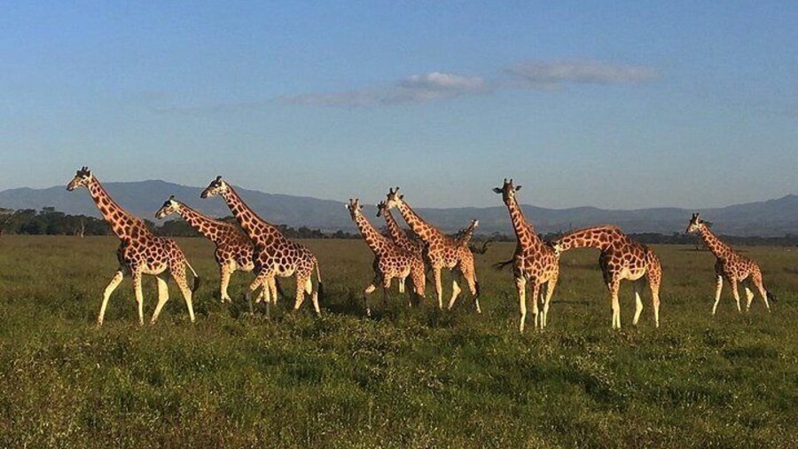 We capture nature at its best