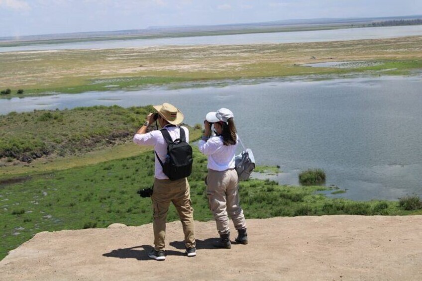Day Tour to Amboseli National Park