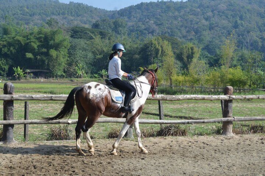 Horse Lesson+Riding+Wat Tonkwen wooden temple.Chiangmai