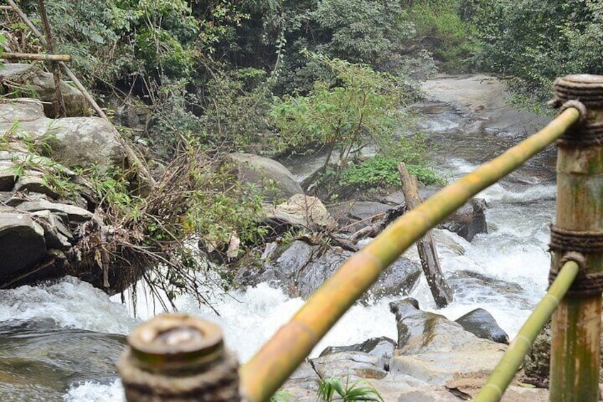 Mount Doi Inthanon National Park Sunrise and Hiking