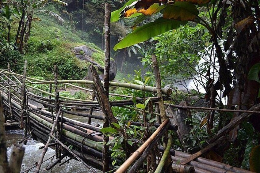 Mount Doi Inthanon National Park Sunrise and Hiking