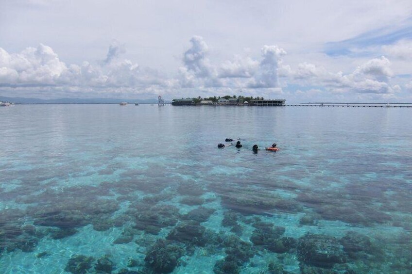 snorkeling point