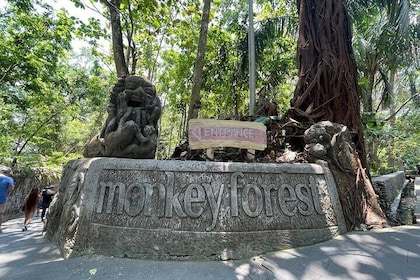 Ubud Monkey Forest Sanctuary Entrance Ticket All-inclusive