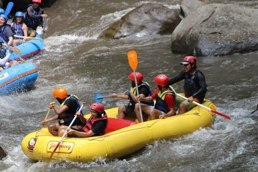 The Rafting Adventure at Ayung River