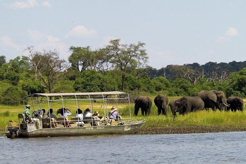 Safari Boat on Chobe River