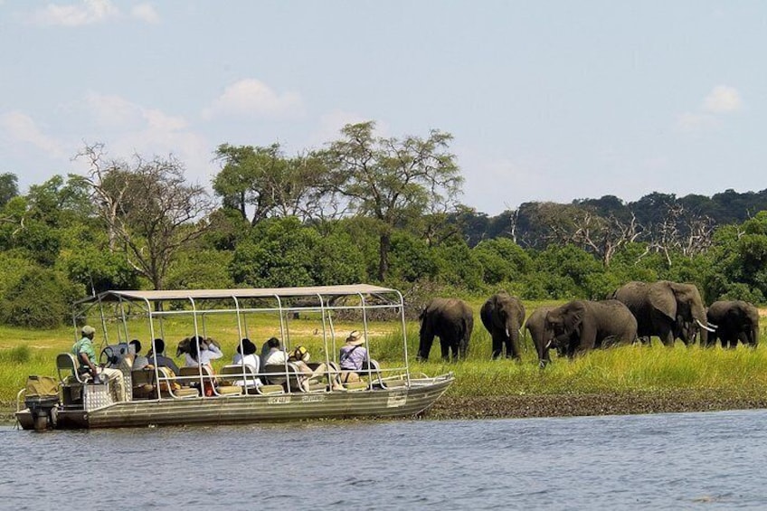 Safari Boat on Chobe River