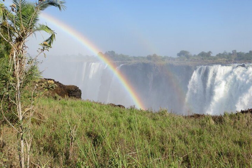 Falls 4