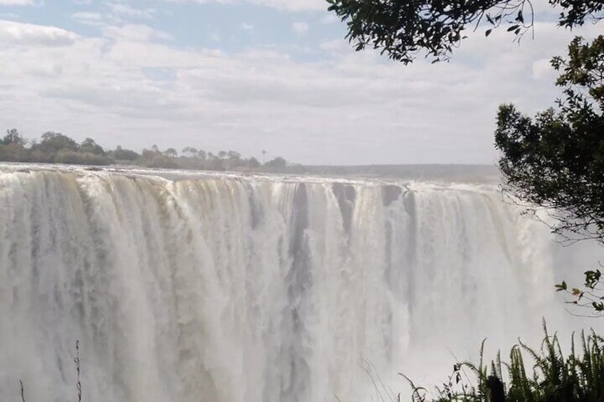 Guided Tour of the Falls