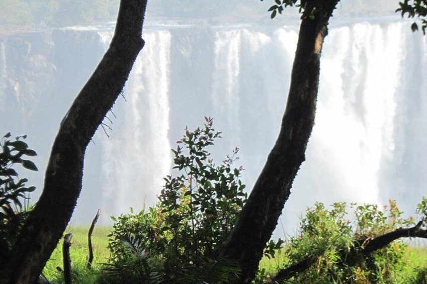 Falls Tour 1