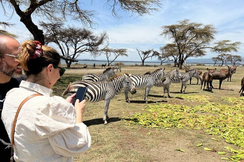 Day Tour to Cresent Island in Naivasha