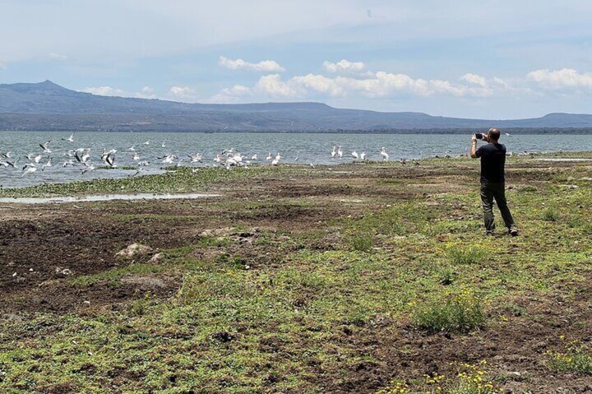 Day Tour to Cresent Island in Naivasha