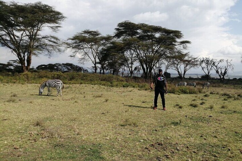 A great place to have a walking safari