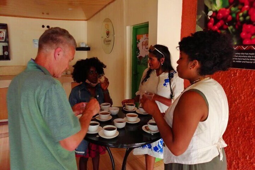 Coffee Tasting