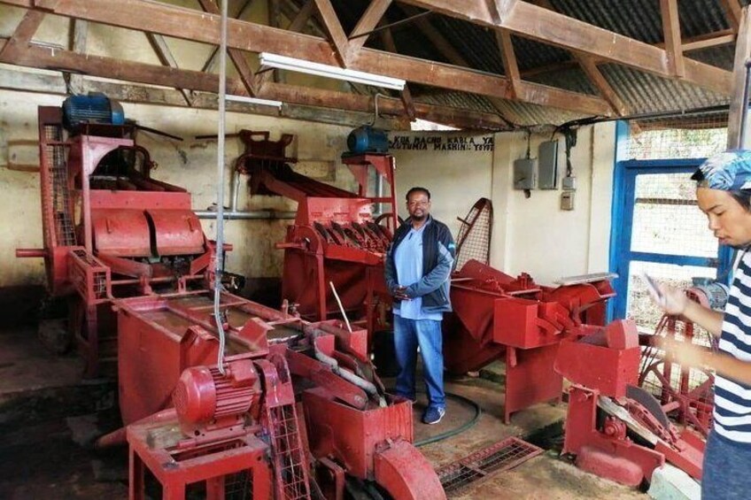 Sorting machinery