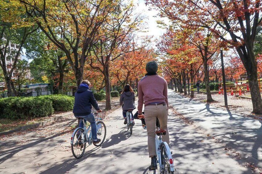 Osaka Bike Tour to the Neighborhood of Osaka Castle