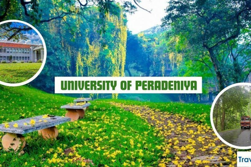 University of peradeniya