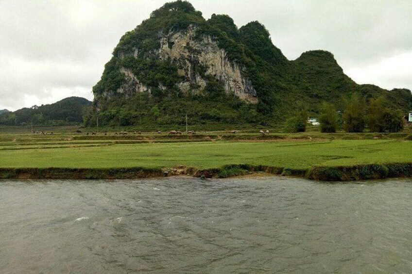 7-Day Trekking Northest Vietnam: Ba Be Lake - Ban Gioc Waterfall - Ha Giang