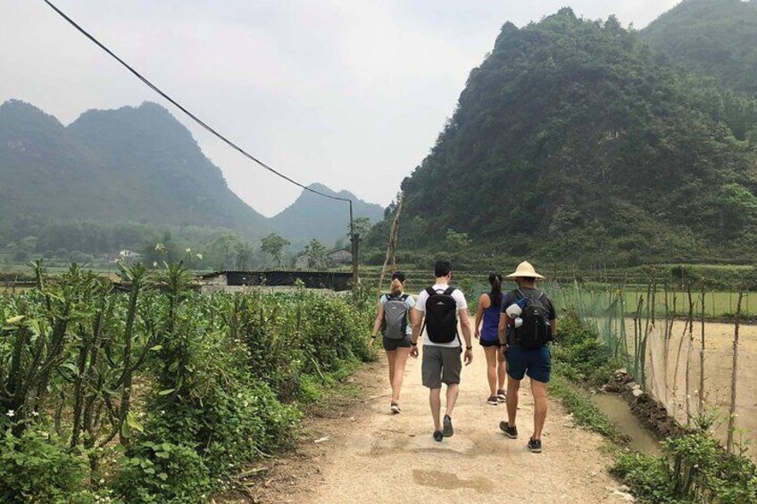7-Day Trekking Northest Vietnam: Ba Be Lake - Ban Gioc Waterfall - Ha Giang
