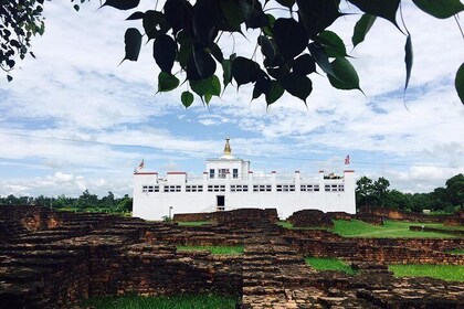 Lumbini Tour with local Guide