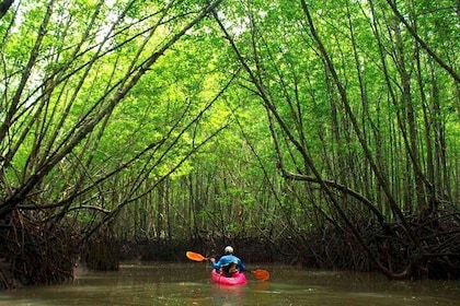 Tiefe Mangroven- und Canyon-Kajaktour in Krabi