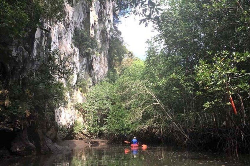 JUNGLE KAYAK