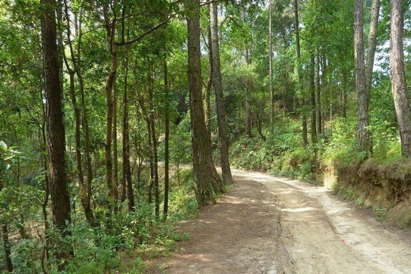 Telkot to Changunarayan Trail