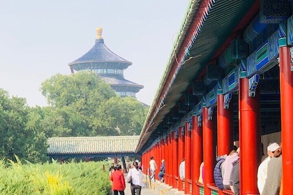 All Inclusive Great Wall of China and Temple of Heaven Day Tour
