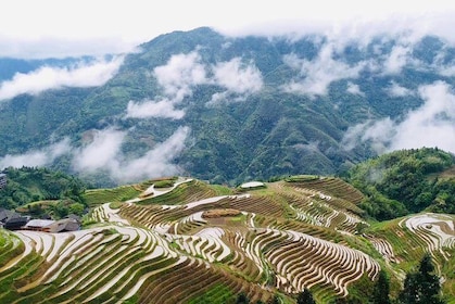 Private Day Tour to Longji Rice Terraces from Guilin