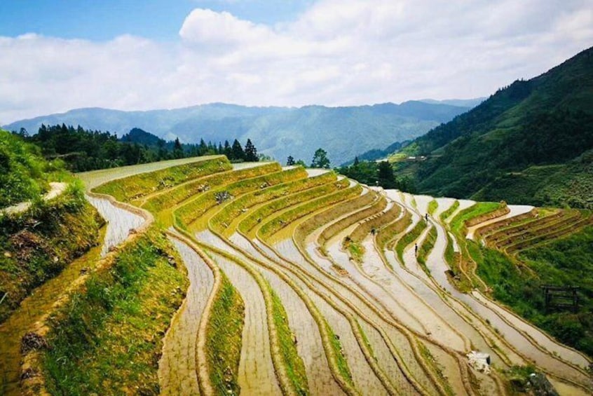 Private Day Tour to Longji Rice Terraces from Yangshuo