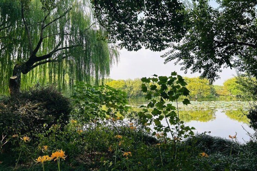Full Day Private Tour Incredible Hangzhou City Hightlights
