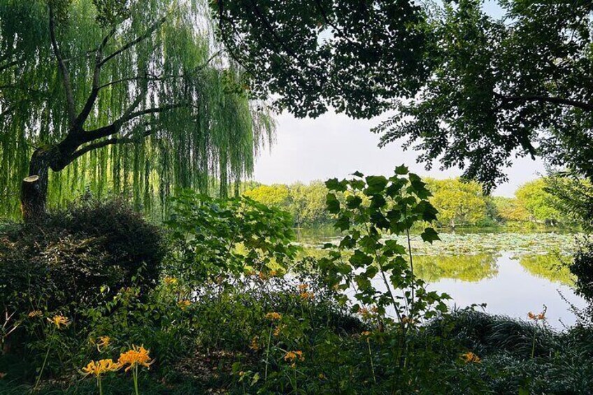 Full Day Private Tour Incredible Hangzhou City Hightlights