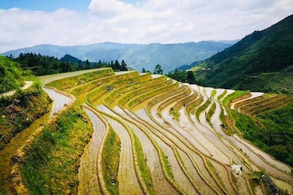 2-Day Private Tour to Longji Rice Terraces and Ping'an Village from Guilin