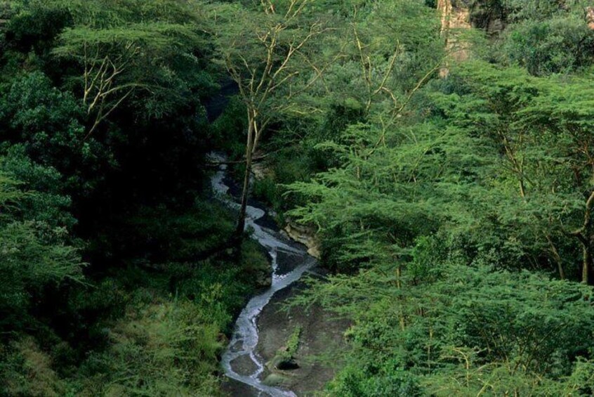 1 Day trip to Hells Gate and Lake Naivasha From Nairobi