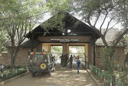 One Day Tour to Maasai Mara Game reserve from Nairobi