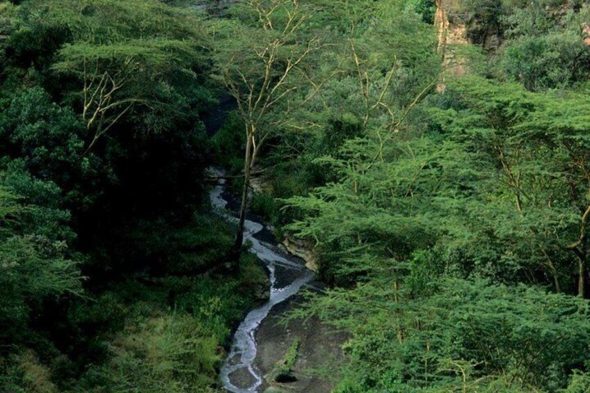 Small Group Budget Tour to Hells Gate National Park and Lake Naivasha Boat Ride