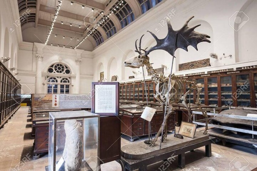 Tour to Indian Museum Kolkata