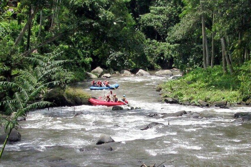 White Water Rafting in Ayung River