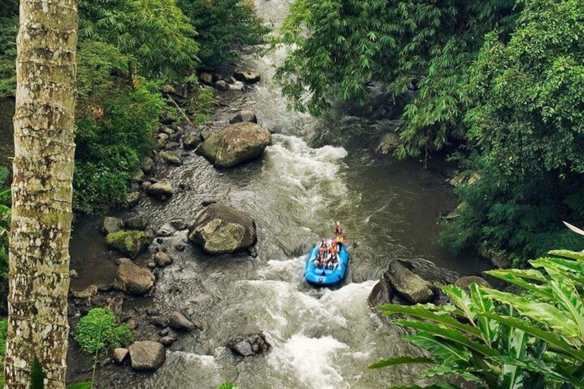 Beautiful of Ayung River