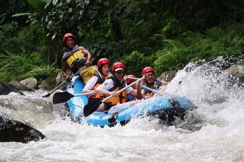 White Water Rafting in Ayung River