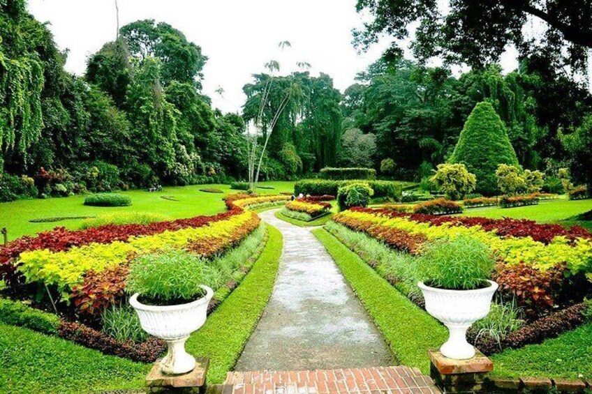 Royal Botanical Garden, Kandy