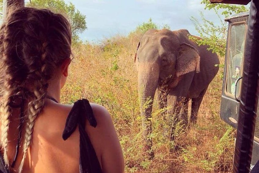 Udawalawe Safari, Srilanka