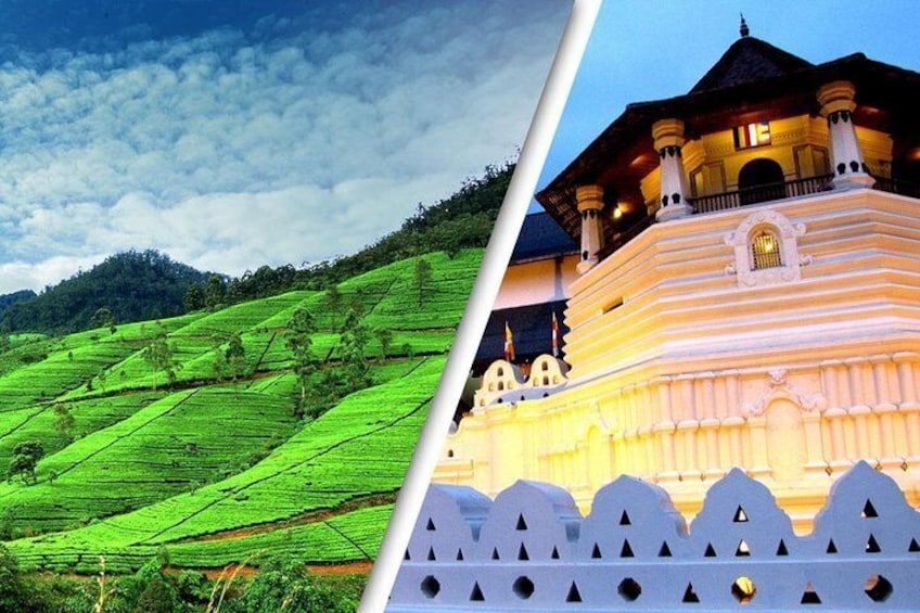 Kandy & Nuwara Eliya