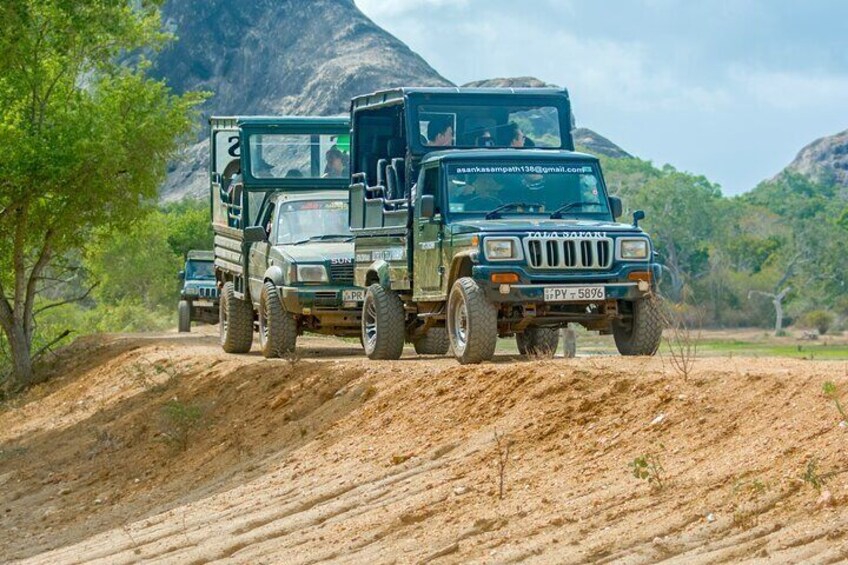 Jeep Safari at Wilpathu National Park